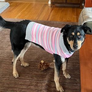 Bond & Co Striped Dog Sweater